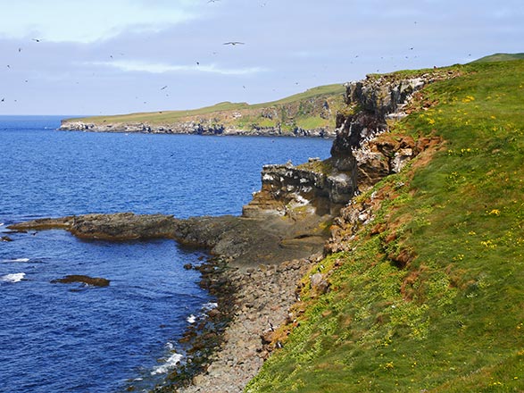 escale,Ile de Grímsey-Islande_zoom,IS,GRY,61526.jpg